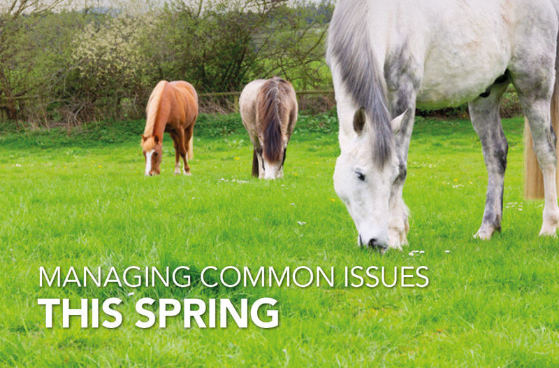 Managing common issues this Spring - Equine Science Matters™